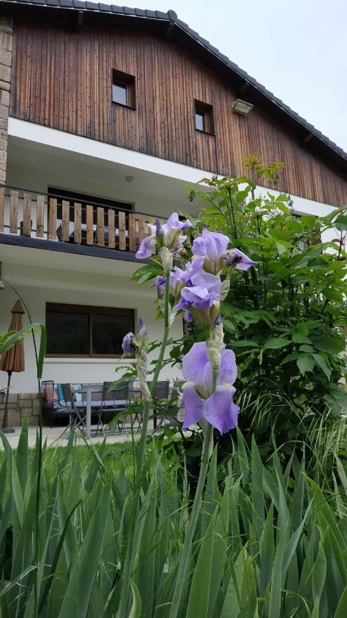 Bed and Breakfast Le Jardin De Moulis, Saint Girons, Ariege, Pyrenees, Exterior foto